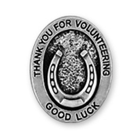 Good Luck Horseshoe Silver Pin Generic